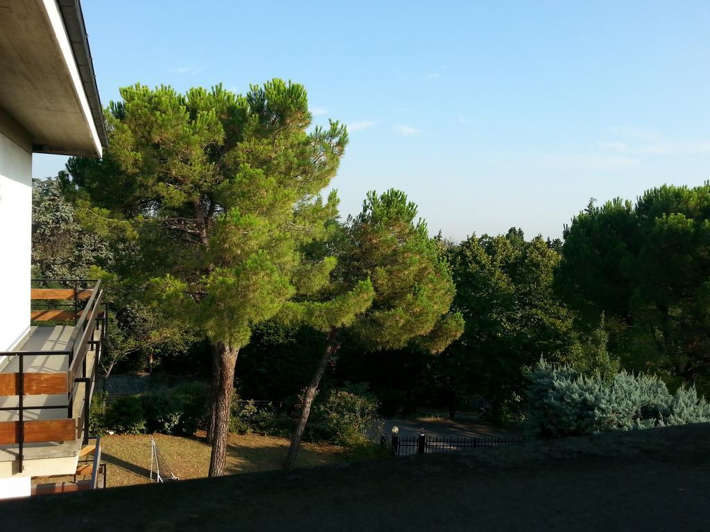Basisa Bed&Breakfast San Lazzaro di Savena Phòng bức ảnh
